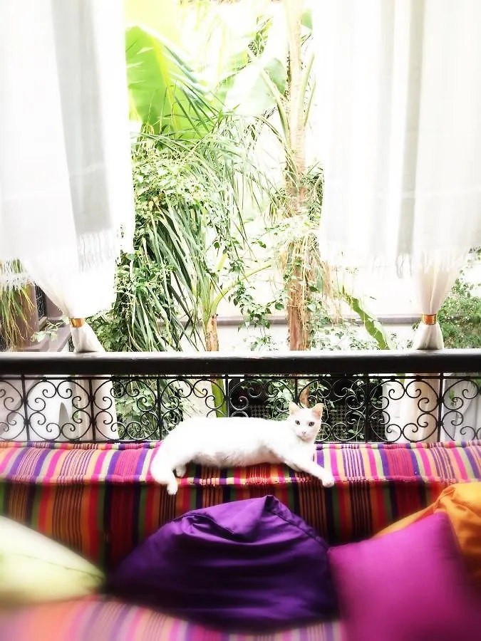 Riad Chocolat Marrakesh