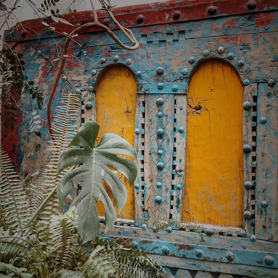 Riad Chocolat Marrakesh Marruecos