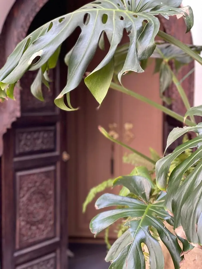 Riad Chocolat Marrakesh